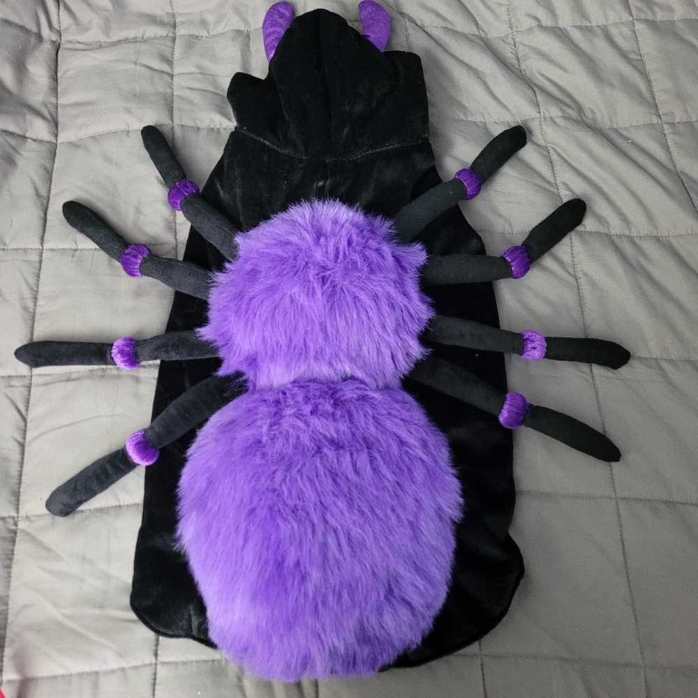 Dog Spider Costume